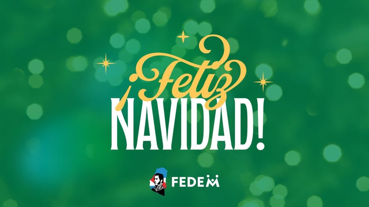 Feliz Navidad FEDEM
